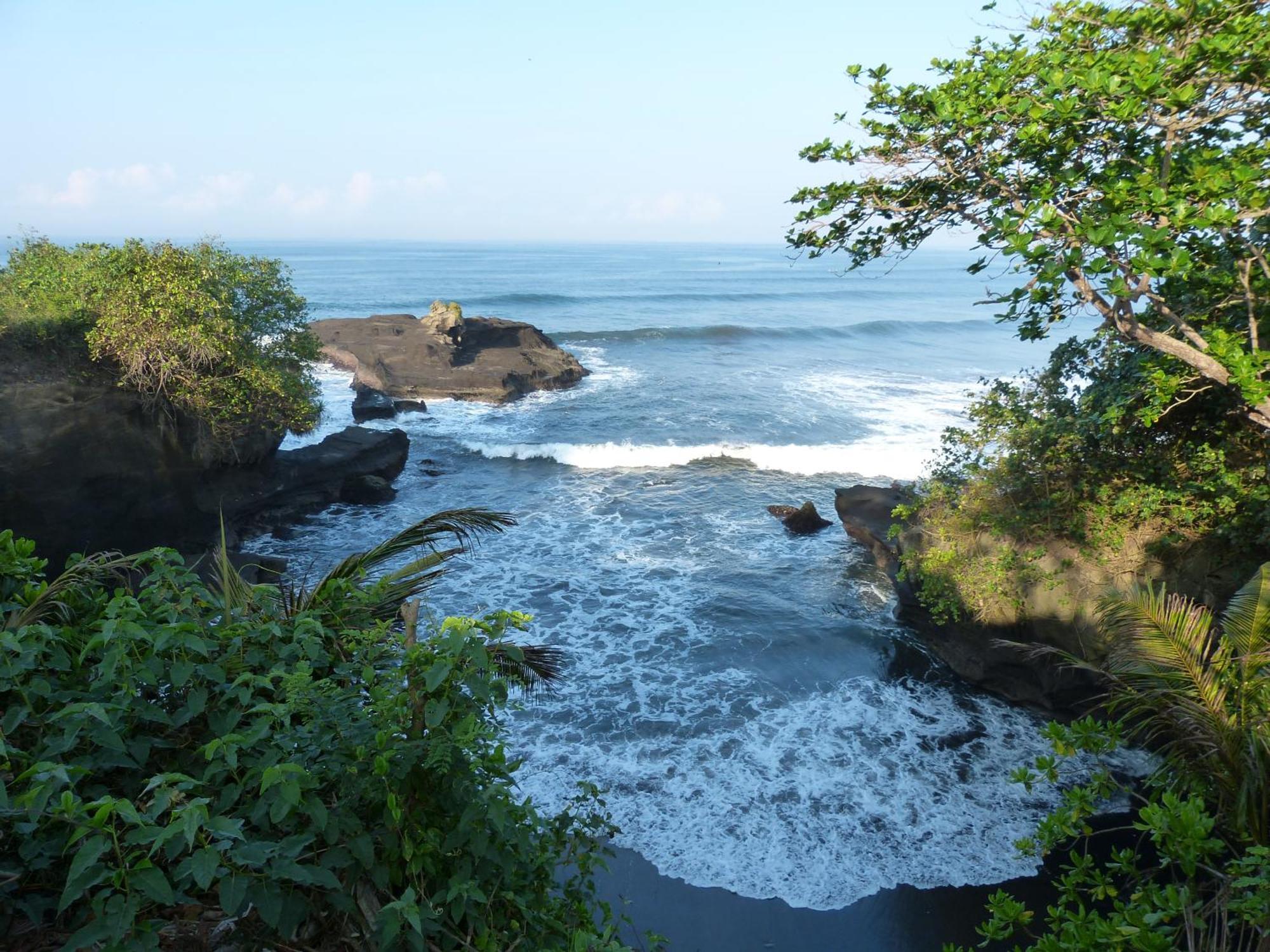 Resor Gajah Mina Selemadeg (Bali)