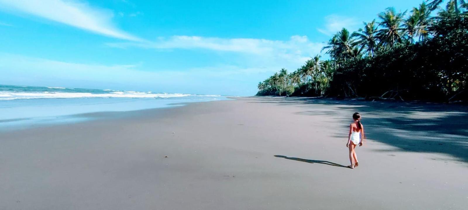 Gajah Mina सहारा Selemadeg (Bali)