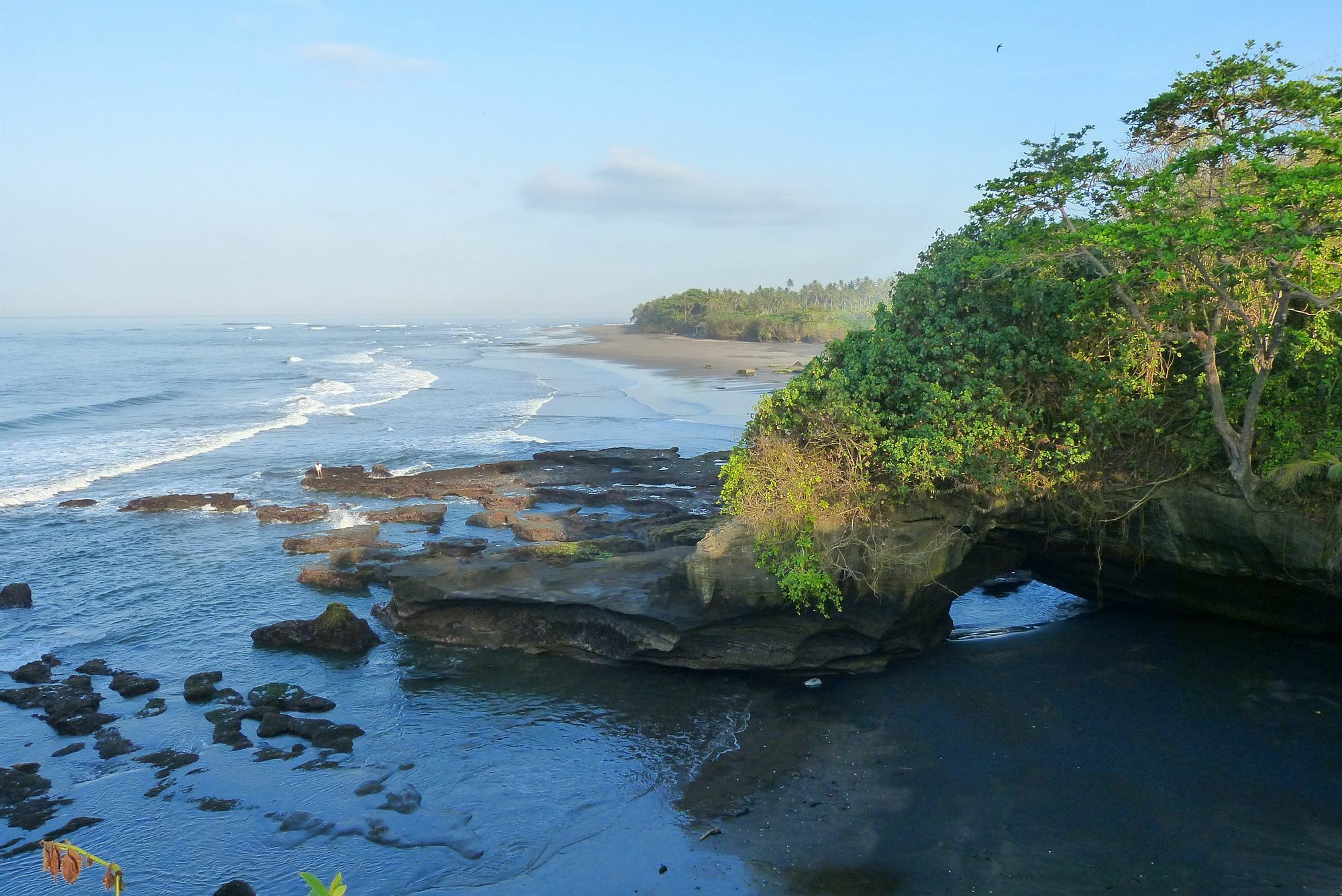 Resor Gajah Mina Selemadeg (Bali)