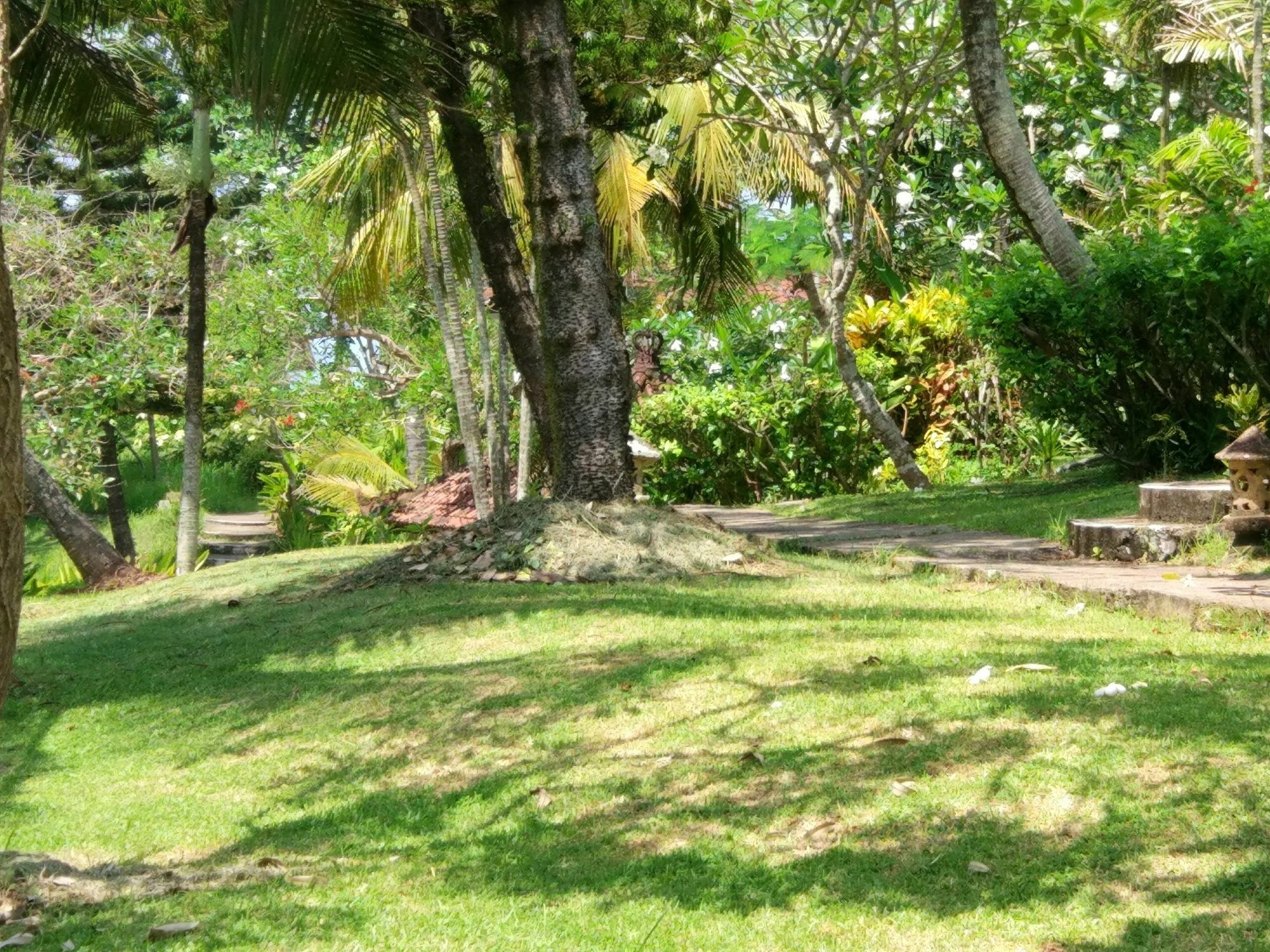 Gajah Mina Resor Selemadeg (Bali)