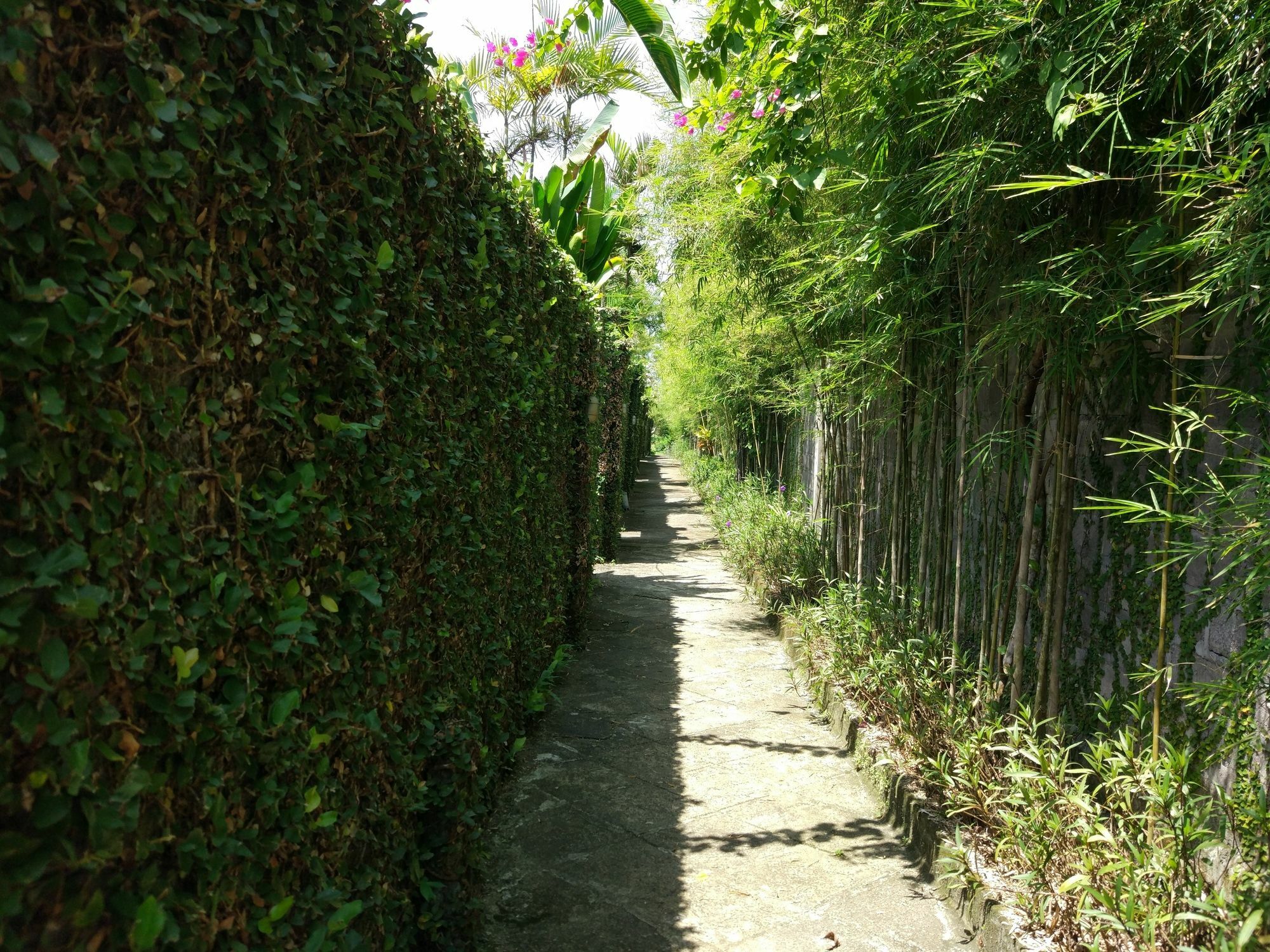 Gajah Mina Resor 3*